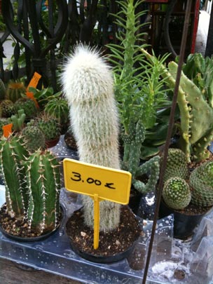  BERTO ROMERO _ ¡uy, uy, uy! 