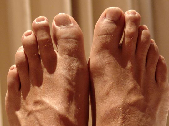  CARLES SANS _ ¿pies para que os quiero? 