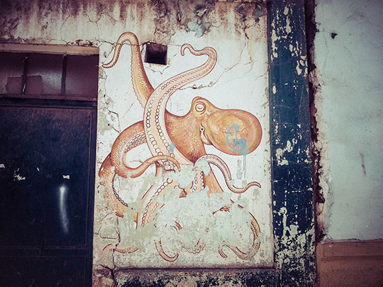  DANIELA CARVALHO _ octopus 