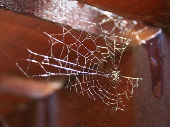  EDU SOTO _ internet rural 