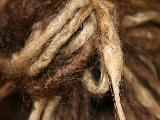  EDU SOTO _ rasta you 