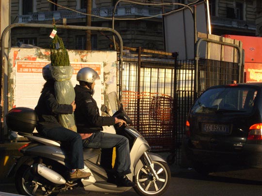  FRANCESC FÀBREGAS _ 2+ 