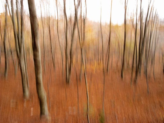  FRANCESC FÀBREGAS _ 365 palos 