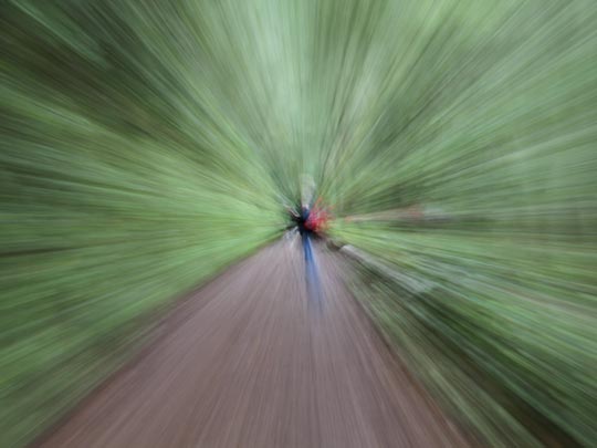  FRANCESC FÀBREGAS _ adióóóóós 