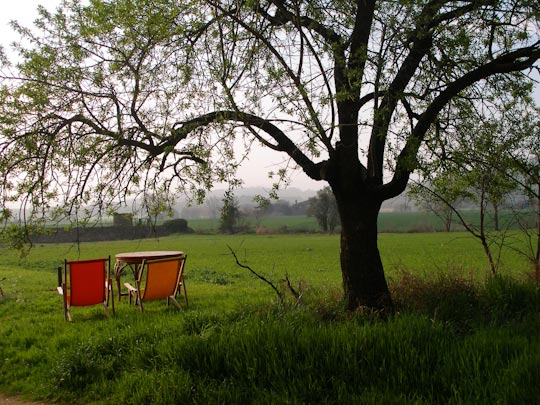  FRANCESC FÀBREGAS _ amakas en stamby 