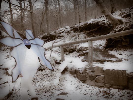  FRANCESC FÀBREGAS _ animal arithmetic 