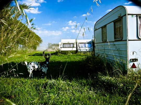  FRANCESC FÀBREGAS _ animal collective 