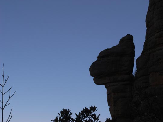  FRANCESC FÀBREGAS _ animal de roca 