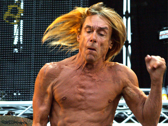  FRANCESC FÀBREGAS _ animal iggy 