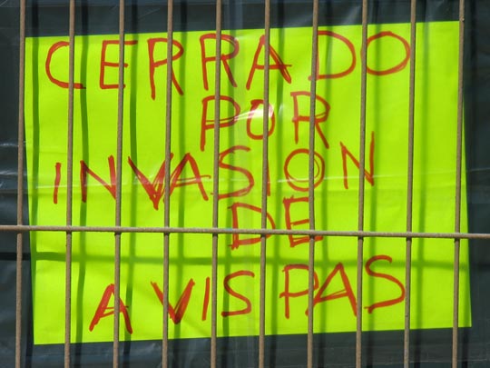  FRANCESC FÀBREGAS _ avispasss 