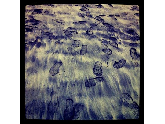  FRANCESC FÀBREGAS _ caminantes 