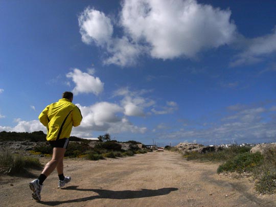  FRANCESC FÀBREGAS _ camino del puerto 