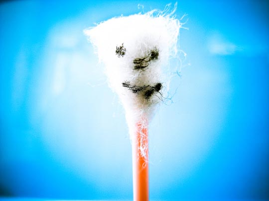  FRANCESC FÀBREGAS _ cara bruta 