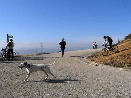  FRANCESC FÀBREGAS _ caricaturas en collserola 