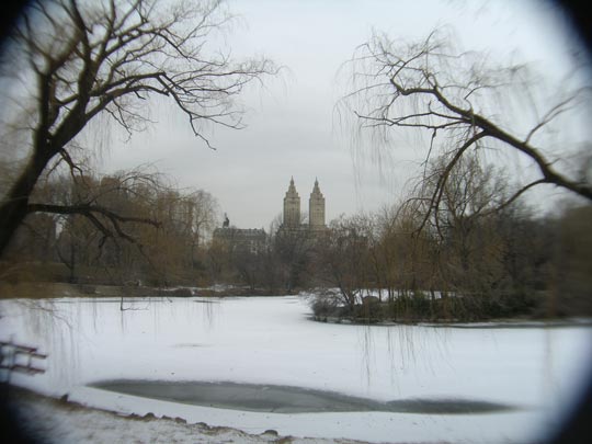  FRANCESC FÀBREGAS _ central park 