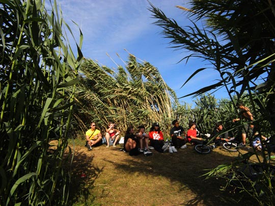  FRANCESC FÀBREGAS _ club de fans 