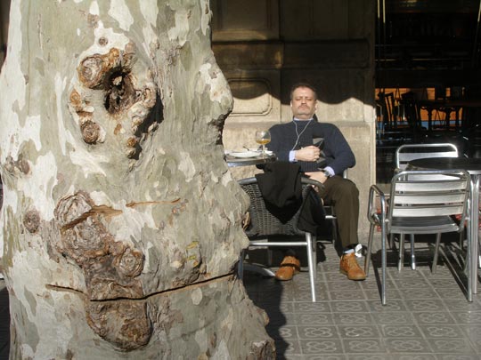  FRANCESC FÀBREGAS _ concentrado 