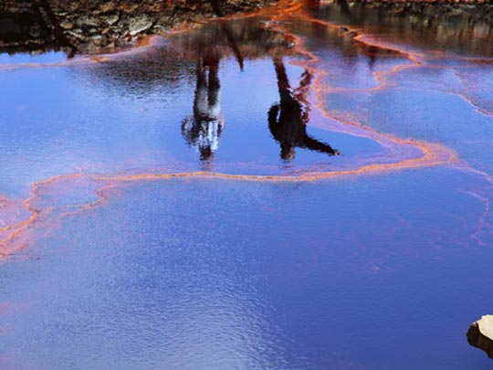  FRANCESC FÀBREGAS _ cruzando colores 