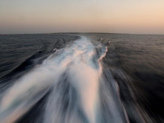  FRANCESC FÀBREGAS _ de vuelta 