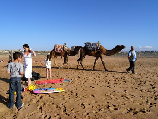  FRANCESC FÀBREGAS _ día de fiesta 