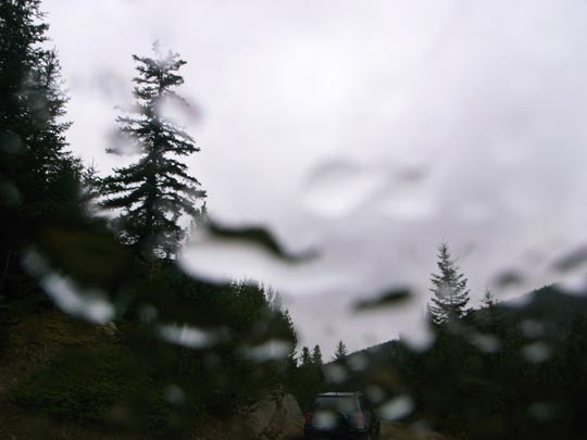  FRANCESC FÀBREGAS _ día de perros 