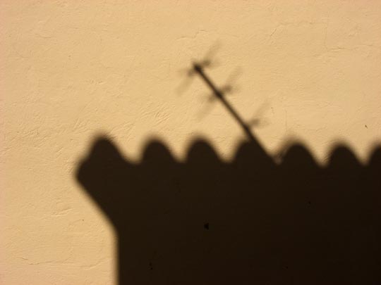  FRANCESC FÀBREGAS _ digital & rural 