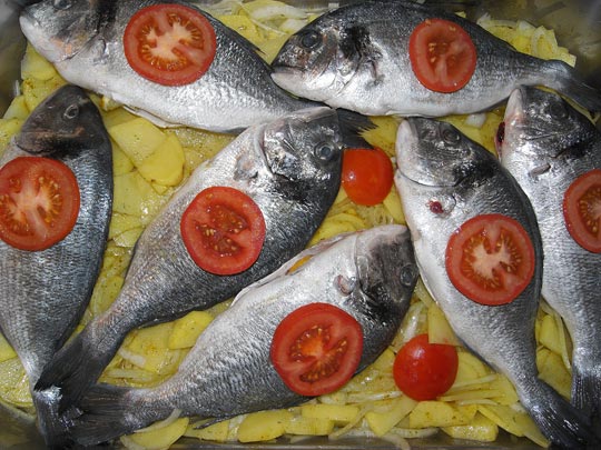  FRANCESC FÀBREGAS _ doradas & patatas 