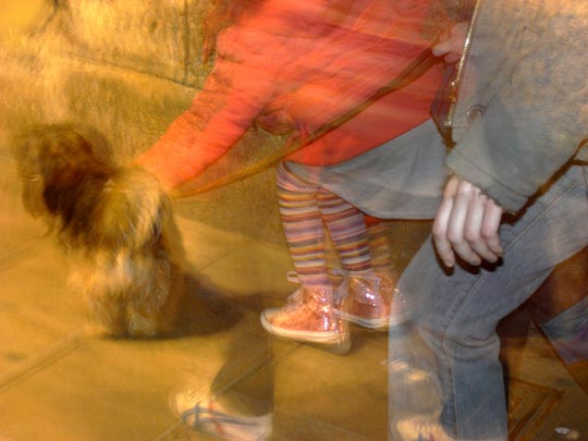  FRANCESC FÀBREGAS _ el perro,  la niña y tú 