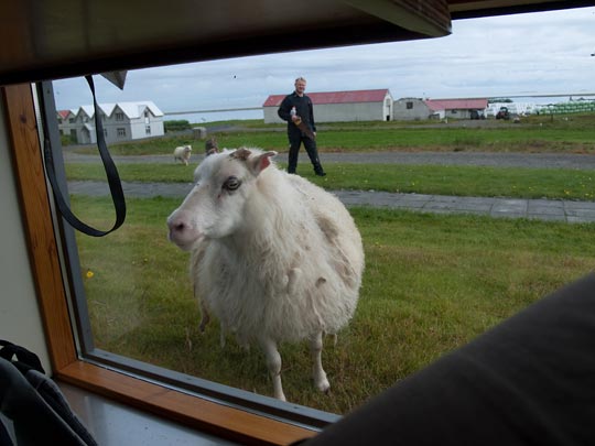  FRANCESC FÀBREGAS _ el último pasajero 