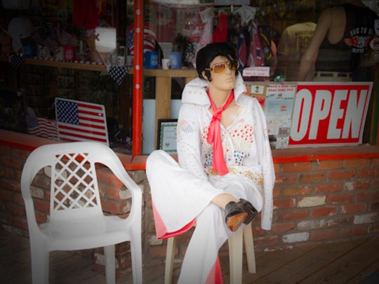  FRANCESC FÀBREGAS _ elvis is dead 