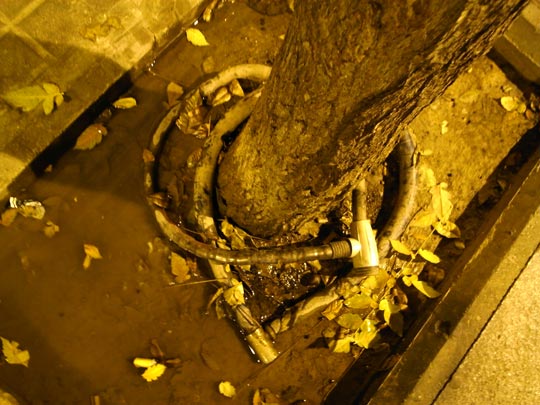  FRANCESC FÀBREGAS _ escape 