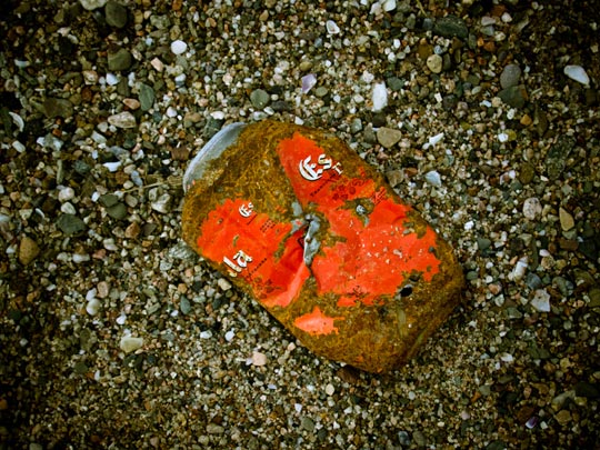  FRANCESC FÀBREGAS _ estrelladlux 