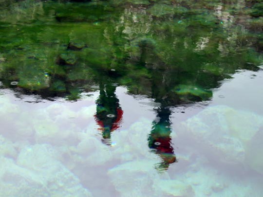  FRANCESC FÀBREGAS _ excursionistas 