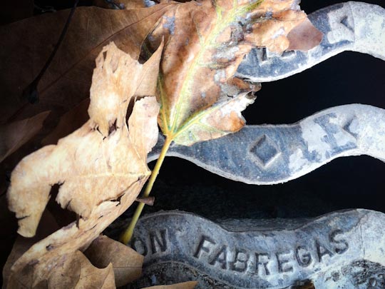  FRANCESC FÀBREGAS _ factory fabregas 