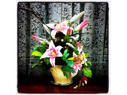  FRANCESC FÀBREGAS _ floreru 