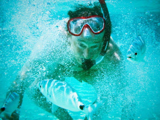  FRANCESC FÀBREGAS _ go to paradise 