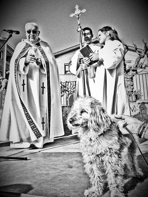  FRANCESC FÀBREGAS _ homes, dones i gossos del cap dret 