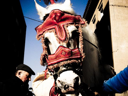  FRANCESC FÀBREGAS _ hoy es domingo y toca 