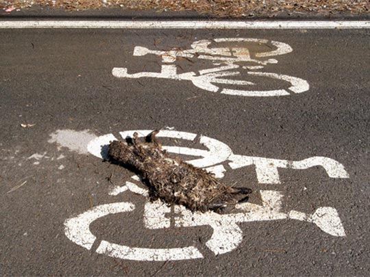  FRANCESC FÀBREGAS _ i.n.r.i 