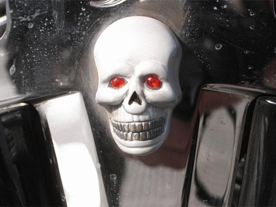  FRANCESC FÀBREGAS _ k miedo 