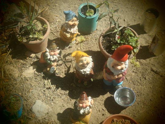  FRANCESC FÀBREGAS _ la familia 