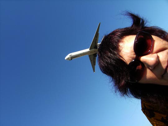  FRANCESC FÀBREGAS _ la peineta 