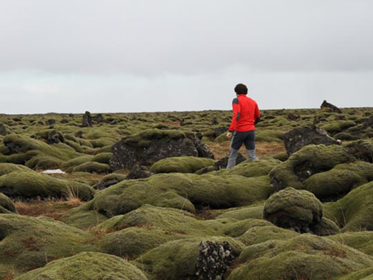  FRANCESC FÀBREGAS _ le d'esert n'est plus es afrique 