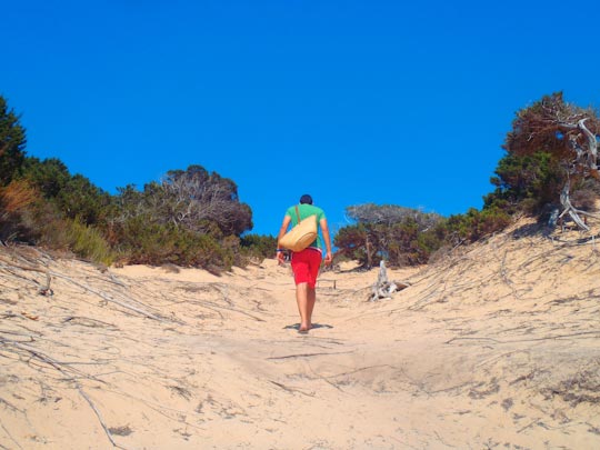  FRANCESC FÀBREGAS _ let'go to san francisco 