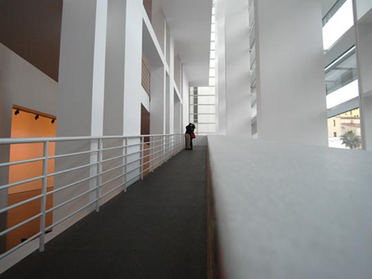  FRANCESC FÀBREGAS _ lío a simple vista 