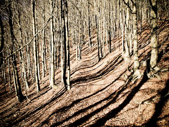  FRANCESC FÀBREGAS _ lloc en lloc 