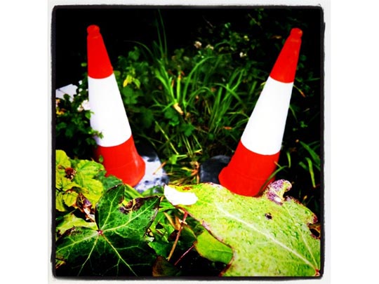  FRANCESC FÀBREGAS _ los coños 