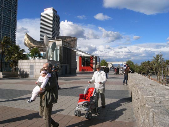  FRANCESC FÀBREGAS _ los yayos 