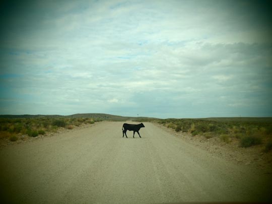  FRANCESC FÀBREGAS _ lost 