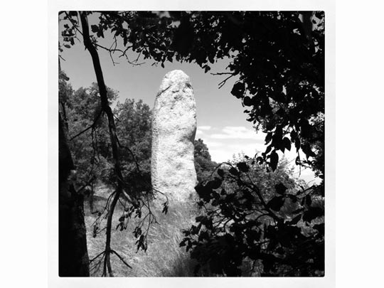  FRANCESC FÀBREGAS _ me sobran paraules 